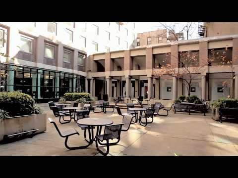 Third North | NYU Residence Hall Tour