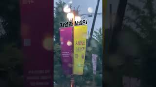 군위 바이브(VIBES)[2024'60초로 보는 군위' 영상공모전 "입선"]