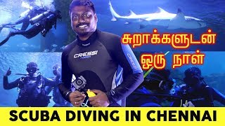 Scuba Diving in Chennai  Scuba Diving with Sharks 