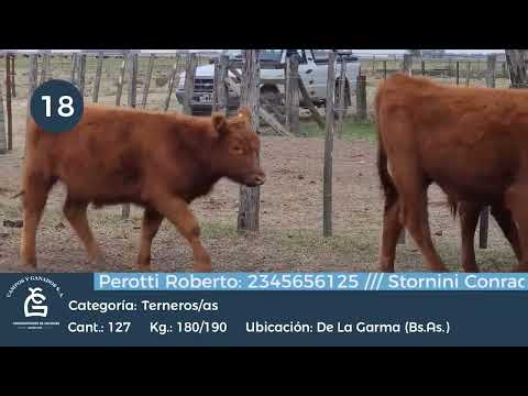 Lote M Y H - De la Garma Bs As