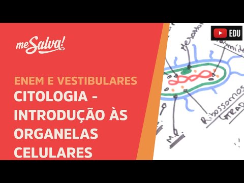 Me Salva! CIT17 - Citologia - Introdução às organelas celulares