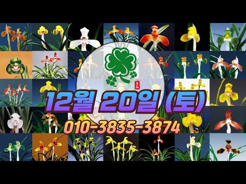 유튜브 썸네일