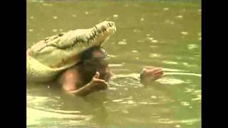 Chito y Pocho, la amistad de hombre y cocodrilo