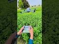 Dji Air 3s Drone Shorts Short Dronevideo Subscribe