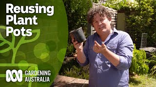 How to reuse plastic plant pots | Gardening Hacks | Gardening Australia