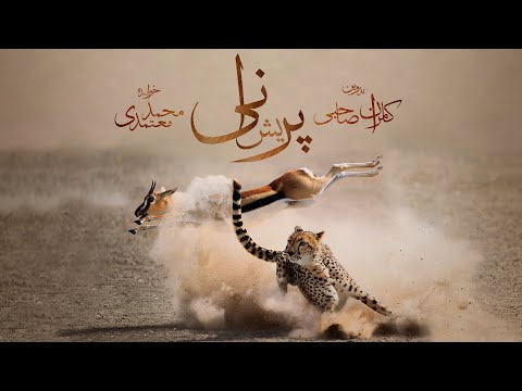 "Parishani" Music Video - Kamran Sahebi - Mohammad Motamedi