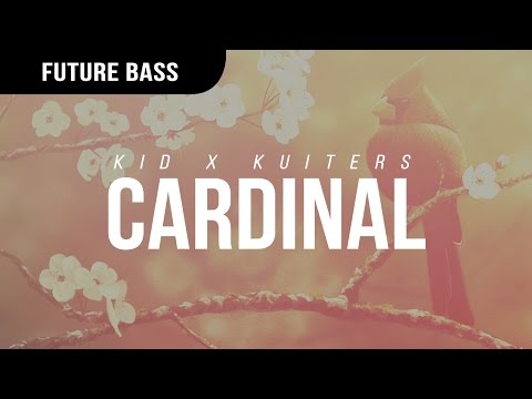 Kid x Kuiters - Cardinal