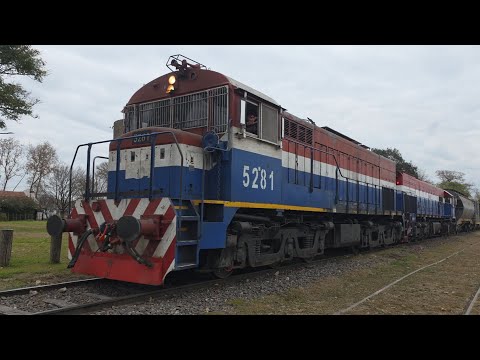 [4K] Tren cargado de NCA con destino a Rosario pasando por Marcos Juárez!!!!!!