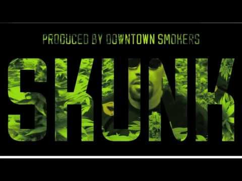 - SKUNK - RAW-T JUNY THE DOPE BOY VANADIAN EFFECT RELEASE PARTY  DOWNTOWN SMOKERS - MIX BY DJ RYU