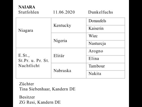 Naiara Trakehner Stutfohlen von Niagara / Elitär