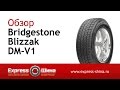 Видеообзор зимней шины Bridgestone Blizzak DM-V1 от Express-Шины