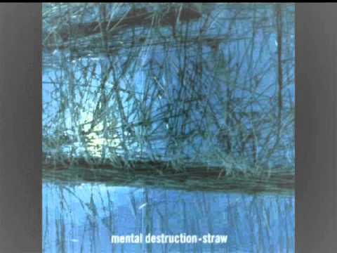 MENTAL DESTRUCTION - The Streams Of Time