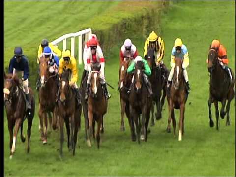 Galopprennbahn Dresden - 16.04.2016 - 4.Rennen