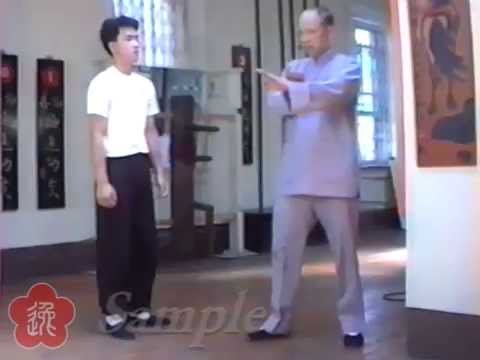 Preview: Moy Yat - Biu Ji