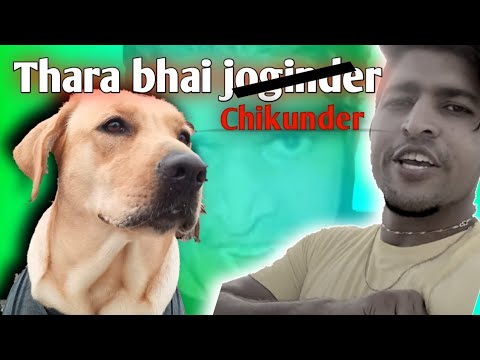 Thara Bhai Joginder  | Funny Talking Dog 😂