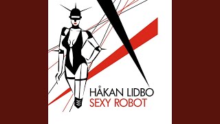 Sexy Robot (Remix)