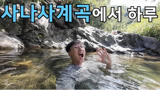 서울 근교 계곡 추천 | 사나사계곡에서 보낸 여름 하루