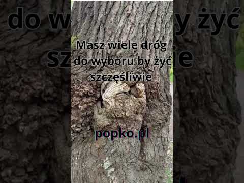 [Encyklopedia Wiedzy Duchowej] Masz wiele dróg do wyboru by żyć szczęśliwie popko.pl  #popko #duchowosc #rozwojduchowy #wybór