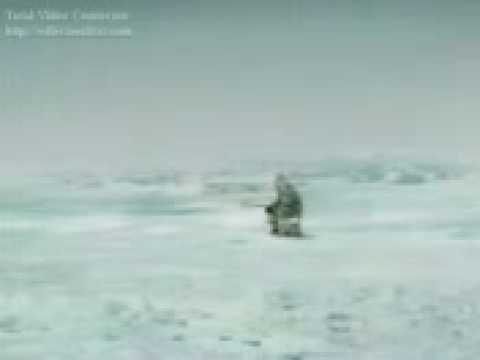 zlesene com   Video   avc av oldu