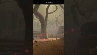 とても綺麗なチェイスとメメント#dbd #バグだらけスペシャル