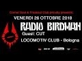 Radio Birdman - We've Come So Far (To Be Here Today)