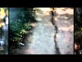 Cyne - Elephant Rome (HQ)