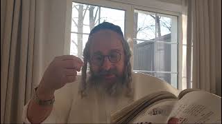 *בית המדרש הווירטואלי עמוד מוהר"ן מתוך לימוד ה'עמוד היומי' ליקוטי מוהר"ן קד עמוד א' תורות קמז'- קנא' (הרב מוטה פראנק) - התמונה מוצגת ישירות מתוך אתר האינטרנט יוטיוב. זכויות היוצרים בתמונה שייכות ליוצרה. קישור קרדיט למקור התוכן נמצא בתוך דף הסרטון