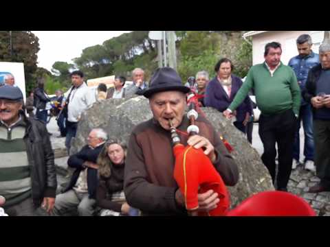 Carriço e Raimundos - Fado....