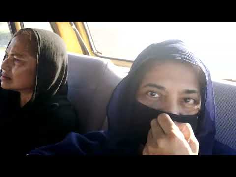 Apne Cats,Dogs Aur Dusre Animals Ko Edhi Home Chordia Kerain.