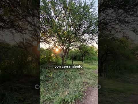 Lote en Venta en B° Colinas – La Granja | 874 m² + Anteproyecto sin cargo