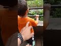 Orang Utan Lagi Mandi