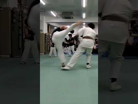 拳剛塾的マススパーリング（空乱撃）＃shorts＃スパーリング＃仙台拳剛塾