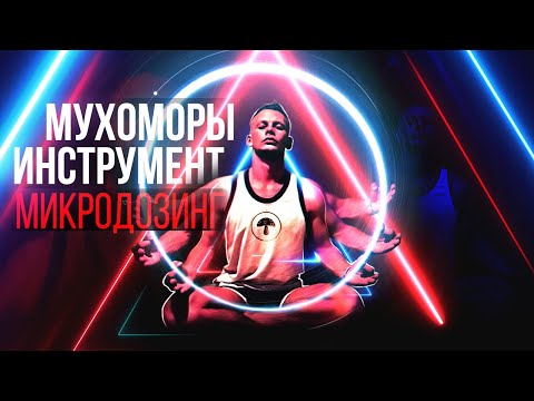 Мухоморы инструмент