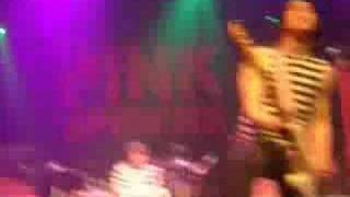 the pink spiders - nobody baby