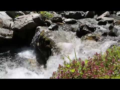 Tranquil Waterfall Experience 🍂 Nature's Therapy for Your Soul 🌙 Find Peace and Relax