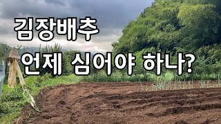 뜨거웠던 여름 올해 김장배추는 언제 심어야 좋을까