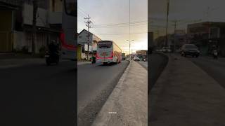 Download lagu story wa bus Mira pas senja🙀 #busindonesia #busmira #fyptiktok mp3