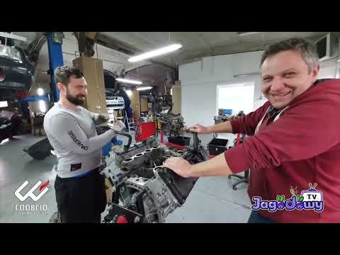 Coobcio, Kivi racing factory - Miś Uszatek #jagodowytv #coobcio