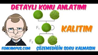 8.2.2. Kalıtım Tüm Ayrıntıları ile Detaylı Konu Anlatımı