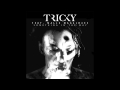Tricky feat. Mallu Magalhães - Something In The Way [free download]