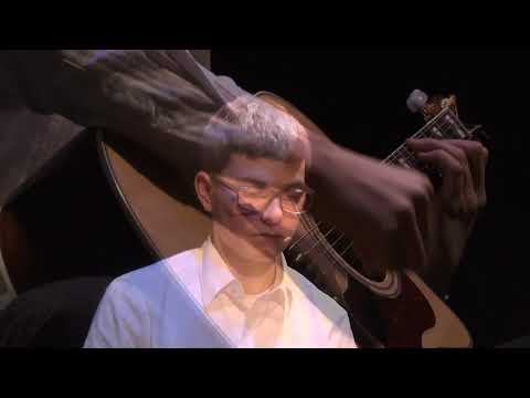 Air,Love and Vitamines - Harry Pepl