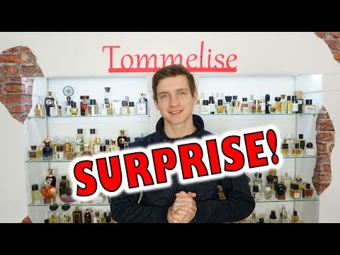 HE IS TAKING OVER MY CHANNEL | Tommelise Video