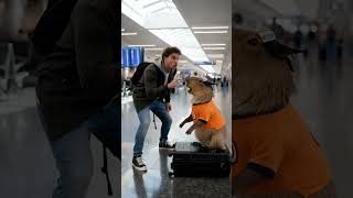 ✈️Capiruto salvou os passageiros!