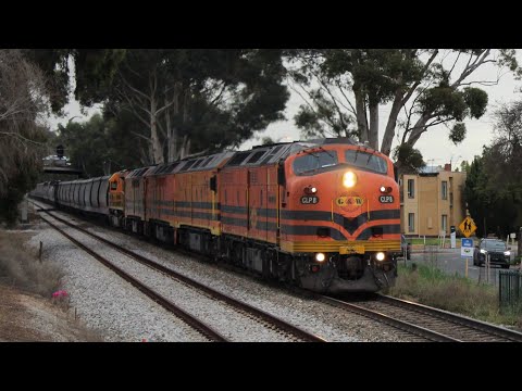 CLP8 Leads 5 Loco Grain Train at Clapham