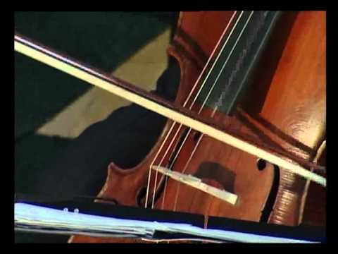 Lacrimi  nu-s nici dureri