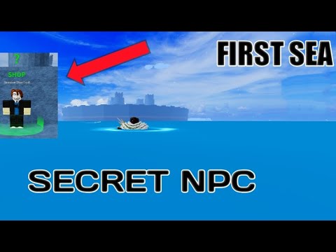 Secret Npc You Missed First Sea Blox Fruits | Roblox