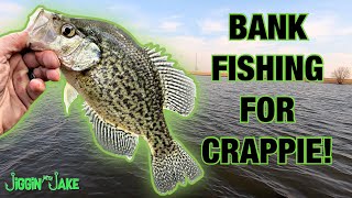Looking for EARLY SPRING Crappie and Bluegill? CHECK OUT THESE TIPS!