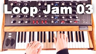 Video thumbnail for Minimoog Voyager Old School /// Loop Jam 03 by David VINCENT