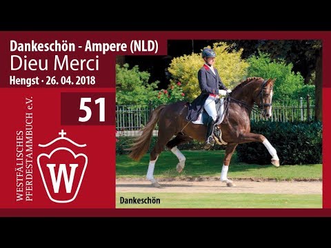 051 Dieu Merci HF v. Dankeschön - Ampere