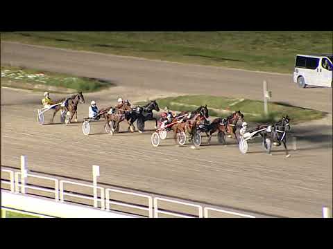 Napoli Trotto 17/06/2023 - 7ª corsa